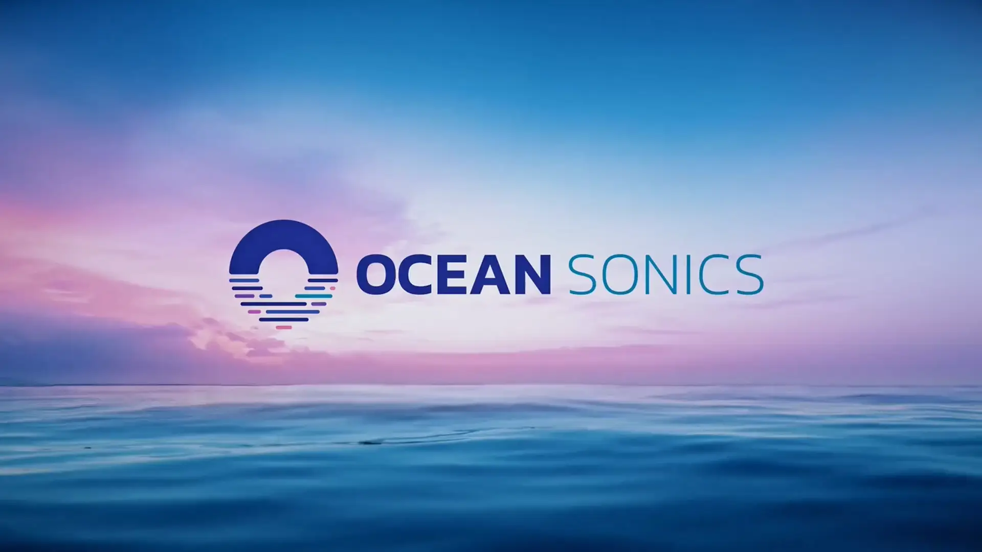 Real Time Smart Digital Hydrophones